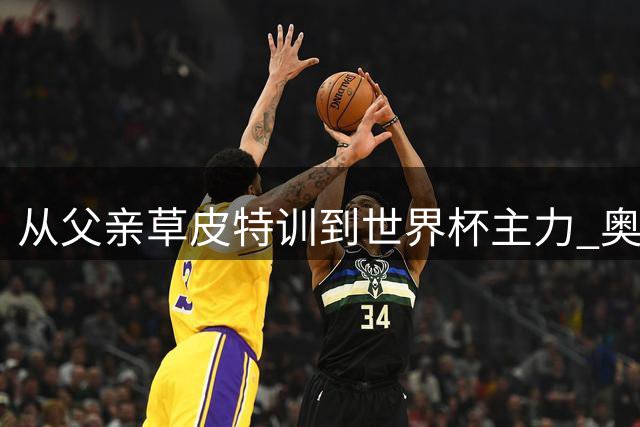 从父亲草皮特训到世界杯主力 奥尔莫揭秘球员养成记